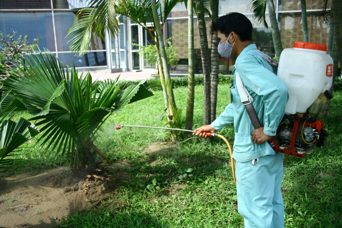 cảnh quan cây xanh 